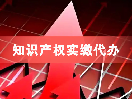 儋州知识产权实缴资本代办